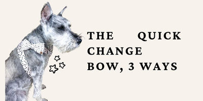 3 Ways to Wear the Quick Change Bow