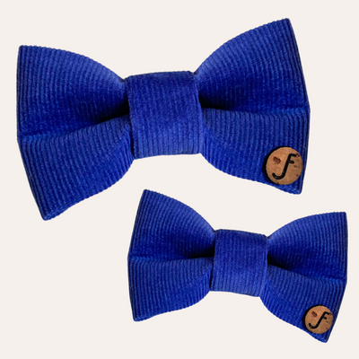 Royal blue corduroy bow tie