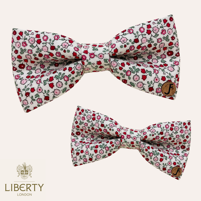 Small floral scale pattern by Liberty London in red, pink and green on bow ties