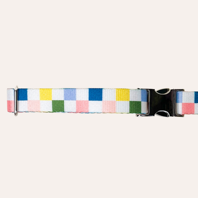 Colorful checked collar