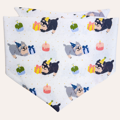 Cream bandana featuring schnauzers with birthday hats, gifts and cakes
