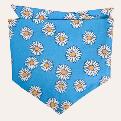 Blue bandana with white and yellow daisies