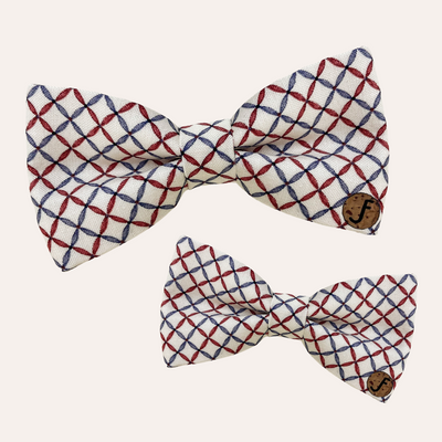A crossstich plaid pattern on cream fabric in red and blue colors