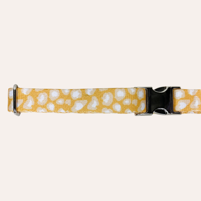 Yellow leopard print dog collar