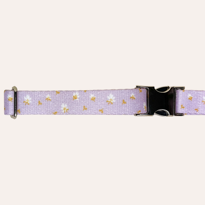Light purple collar with white flowers and gold leaves with metal buckle.