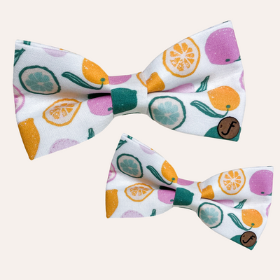 White bow with colorful citrus fruit pattern