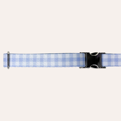 Light blue gingham dog collar with metal buckle