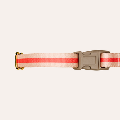 Beige dog collar with red-orange horizontal stripe