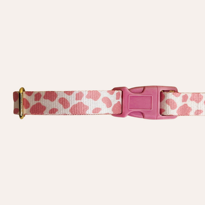 Pink and cream cow animal print dog collar with gold hardware and pink plastic buckle