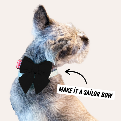 Gray dog wears the 3" sailor bow on his collar. The view is of behind his head. Text: Make it a sailor bow.