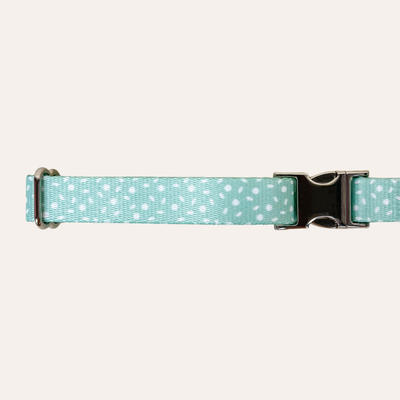 Mint green collar with sprinkle pattern of white