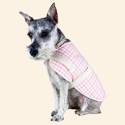 Gray dog wears pink and white gingham coat in front of tan background.