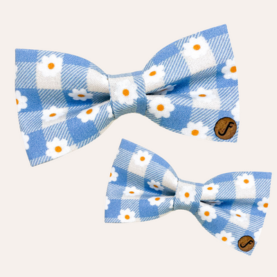 Blue and cream gingham print with white daisies