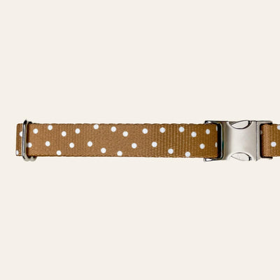 Dark gold dog collar with white polka dots
