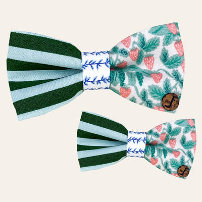 Green stripe and red strawberry bow ties
