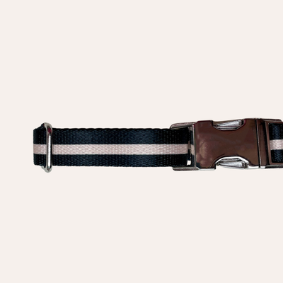 Buckle dog collar in black with thin tan stripe in middle