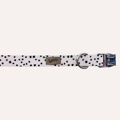 Black and cream Dalmatian collar on marble background