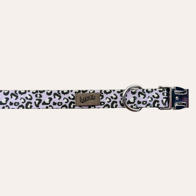 Lilac Leopard animal print dog collar with silver metal buckle