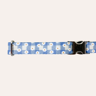 Dog collar with cream and blue gingham and white daisies over top