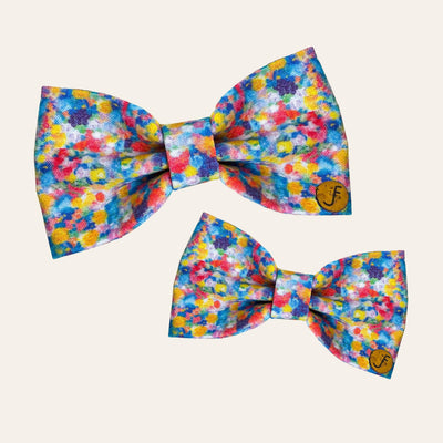 Colorful impressionistic floral pattern on pet bow ties