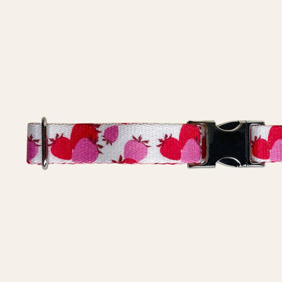 White dog collar with pink and red strawberries with silver metal buckle close-up