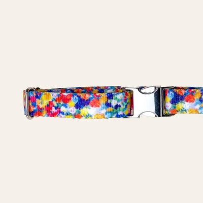 Painterly floral abstract print dog collar with yellow tag