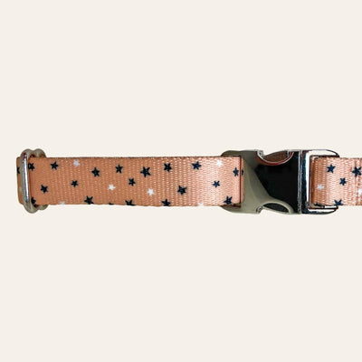 Tan dog collar with black and white star print
