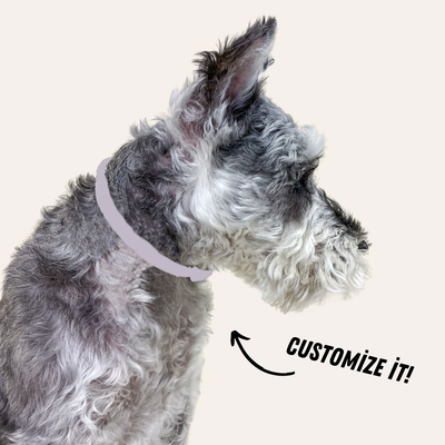 Gray dog in profile wears thin collar. Text: Customize it.