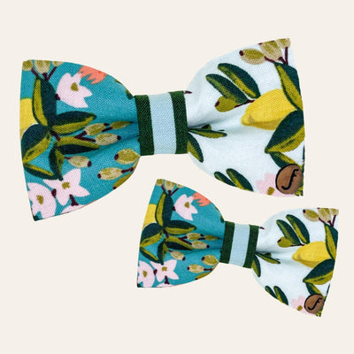 Teal and mint green bow ties with lemon tree print