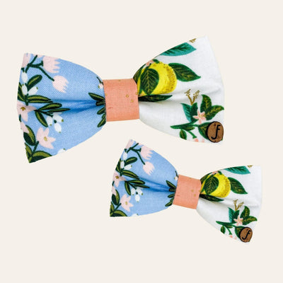 Baby blue and white bow ties with white floral and lemon fruit print